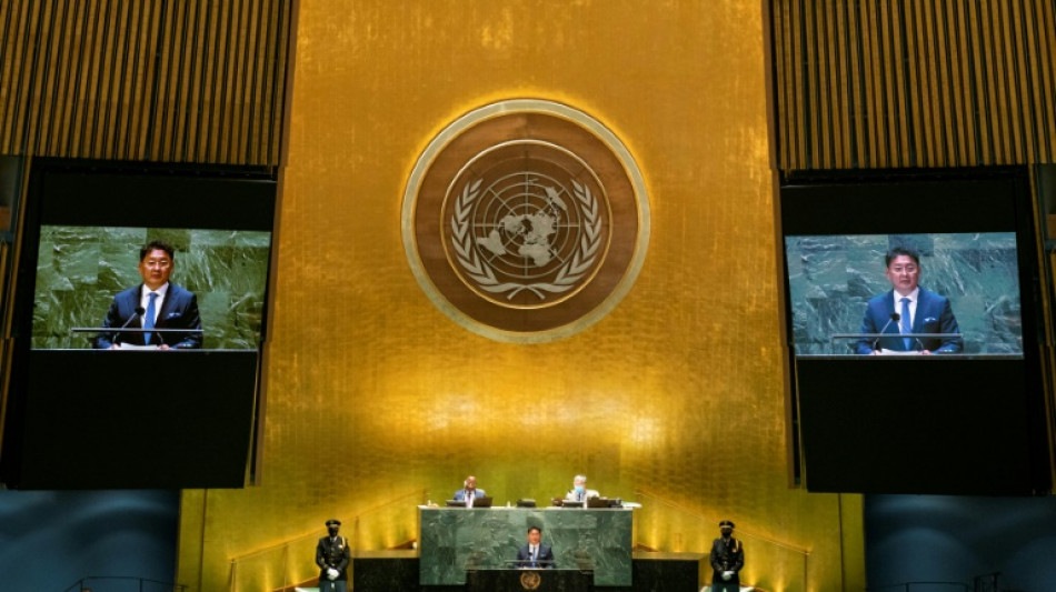 Após veto no Conselho de Segurança, palestinos vão para a Assembleia Geral da ONU