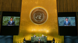 Após veto no Conselho de Segurança, palestinos vão para a Assembleia Geral da ONU