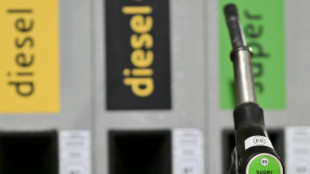 Einigung auf Tankrabatt von 17 Cent je Liter bis Jahresende und Spritpreisdeckel