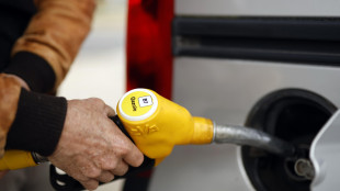 In Francia c'&egrave; chi risparmia allungando la benzina con l'etanolo