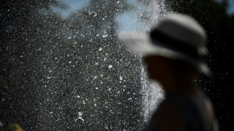 Francia, Espa&ntilde;a e Italia sufren olas prematuras de calor con incendios y sequ&iacute;as