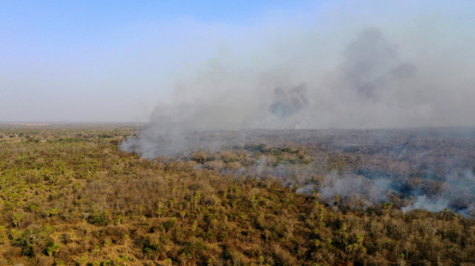 Incendios forestales en Bolivia han alcanzado este a&ntilde;o a casi 300.000 hect&aacute;reas