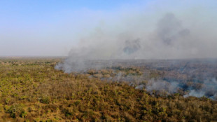 Incendios forestales en Bolivia han alcanzado este a&ntilde;o a casi 300.000 hect&aacute;reas