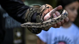 Antivenom shortages, ignorance plague snakebite victims in Venezuela