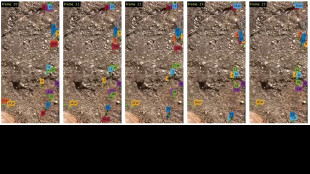 Imparare dalle formiche per risolvere i problemi di traffico