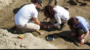 Segni su ossa di 5500 anni fa rivelano un evento di cannibalismo