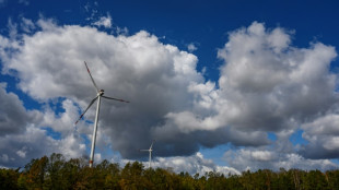 Karlsruhe: Land kann Windenergie im Wald nicht ausnahmslos verbieten