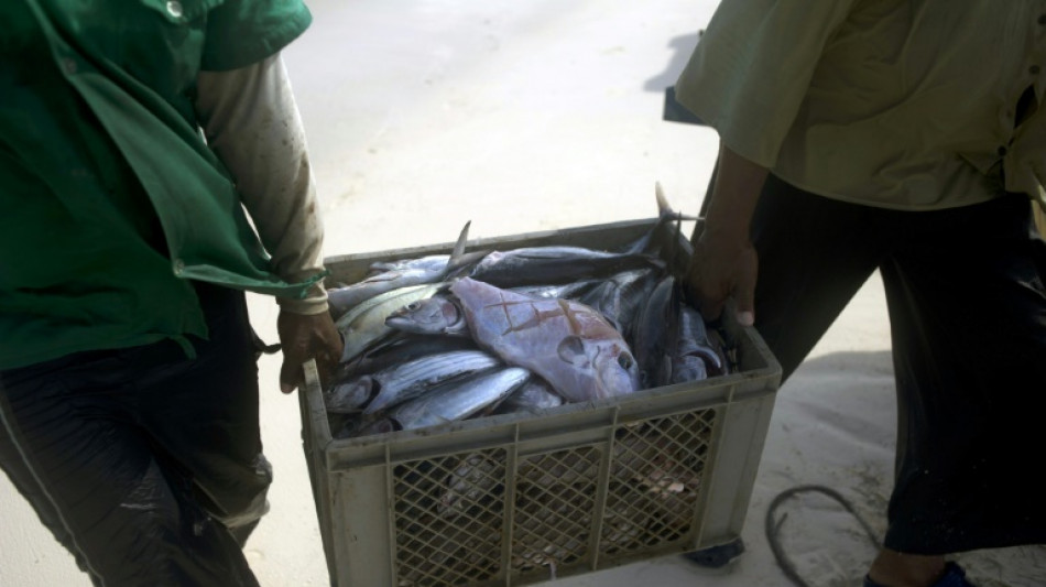 La m&aacute;xima corte de la ONU dictar&aacute; sentencia sobre el litigio territorial entre Colombia y Nicaragua