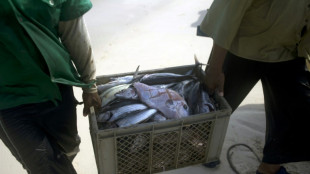 La m&aacute;xima corte de la ONU dictar&aacute; sentencia sobre el litigio territorial entre Colombia y Nicaragua