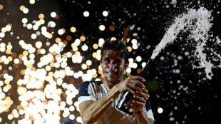 El argentino Etcheverry gana el ATP 500 de Rio de Janeiro