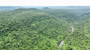 Cambodia wants to bring tigers back, but should it?