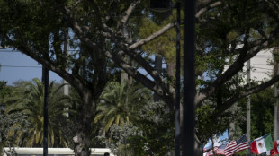 EEUU lanza una aplicaci&oacute;n m&oacute;vil para que los migrantes se autodeporten