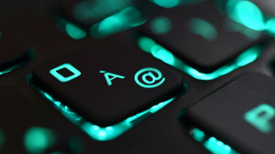 289 Milliarden Schaden durch Spione und Sabotage - Spuren nach Russland und China