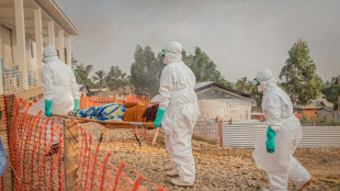 Francia detecta su primer caso de &eacute;bola, en un m&eacute;dico llegado de RD Congo