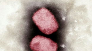 WHO: Weltweit 780 F&auml;lle von Affenpocken au&szlig;erhalb von &uuml;blichem Verbreitungsgebiet