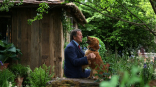Un chien jardinier pour la premi&egrave;re fois au c&eacute;l&egrave;bre Chelsea Flower Show de Londres