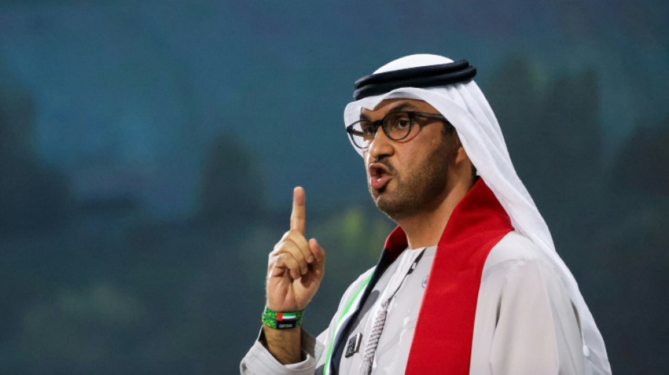 COP28: les engagements annonc&eacute;s &agrave; ce stade