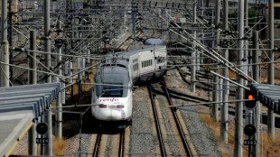Detenidos los presuntos responsables del robo de cobre que par&oacute; los trenes de alta velocidad en Espa&ntilde;a