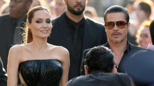 Brad Pitt accuse Angelina Jolie d'"intentions malfaisantes" avec la vente de leur domaine viticole