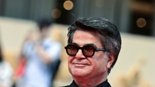 Cannes: Jafar Panahi d&eacute;fie T&eacute;h&eacute;ran, Scarlett Johansson devient cin&eacute;aste