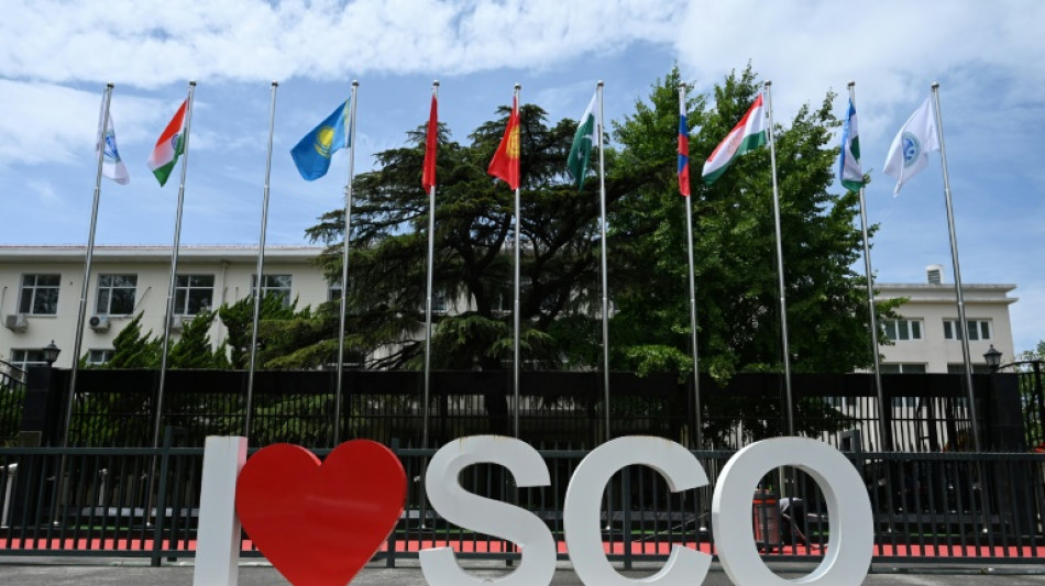 Presidente da China pede esfor&ccedil;os para 'salvaguardar a paz' e contra o protecionismo