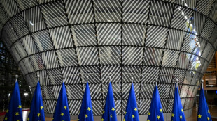 Gaza: l'UE a des cartes en main pour sanctionner Isra&euml;l mais h&eacute;site &agrave; les jouer