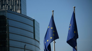 EU 'strongly condemns' US sanctions against five Europeans