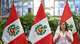 La ONU critica la ley de amnist&iacute;a en Per&uacute;, un "retroceso" en la b&uacute;squeda de justicia
