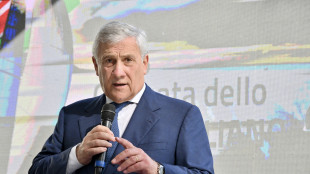 Farnesina, Mosca piombata in un abisso di volgarit&agrave;