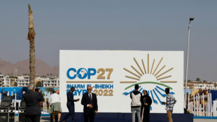 Alemania critica la situaci&oacute;n de los DDHH en Egipto, sede de la COP27