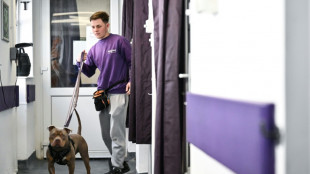 Heartbroken Brits abandon pets as living costs bite