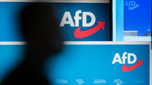 "Deutschlandtrend": AfD erreicht mit 20 Prozent neuen H&ouml;chstwert