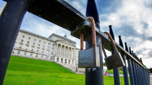 Gr&egrave;ve massive dans une Irlande du Nord en plein blocage politique
