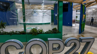 China dice que hay un "largo camino por recorrer" tras el acuerdo clim&aacute;tico en la COP27