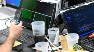 Logiciels malveillants: 20 mandats d'arr&ecirc;t et 300 serveurs mis hors ligne