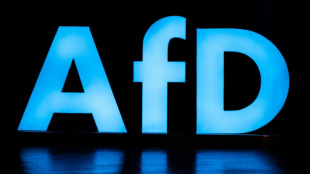 Verfassungsschutz äußert sich vorerst nicht zu Einstufung der neuen AfD-Jugend