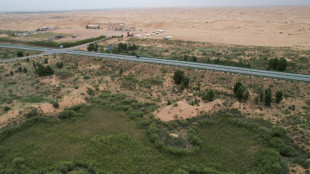 China's 'Great Green Wall' brings hope but also hardship