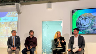 Nei boschi gestiti gli alberi crescono quasi del 43% in pi&ugrave;