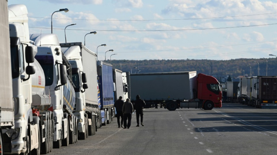 'Economic pressure': Ukrainian truckers queue for days to enter Poland