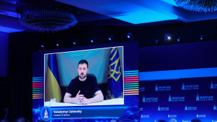 Zelensky,centrale di Zaporizhzhia in emergenza da 7 giorni