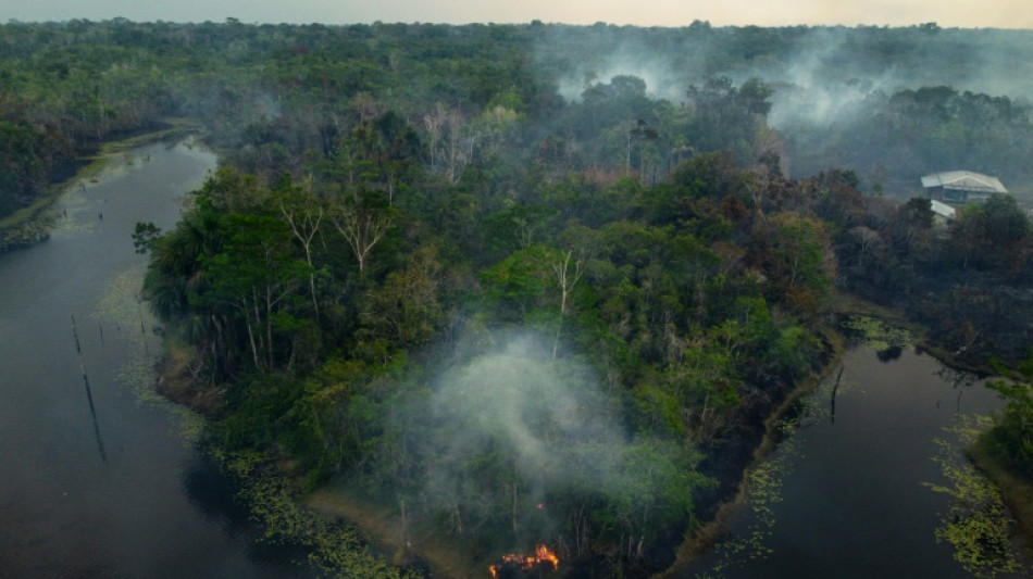 La deforestaci&oacute;n en la Amazonia brasile&ntilde;a marca un m&iacute;nimo en el primer bimestre desde 2018
