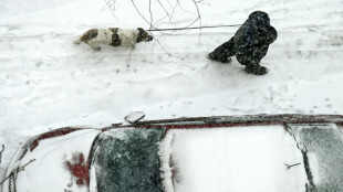 Nevadas r&eacute;cord en plena primavera en Mosc&uacute;