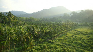 Indian opposition slams Nicobar megaport plan as 'destruction'