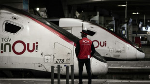 SNCF: la gr&egrave;ve des chefs de bord perturbe peu le trafic TGV