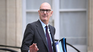 Poup&eacute;es &agrave; caract&egrave;re p&eacute;dopornographique: si r&eacute;cidive, Lescure veut l'interdiction d'acc&egrave;s de Shein en France