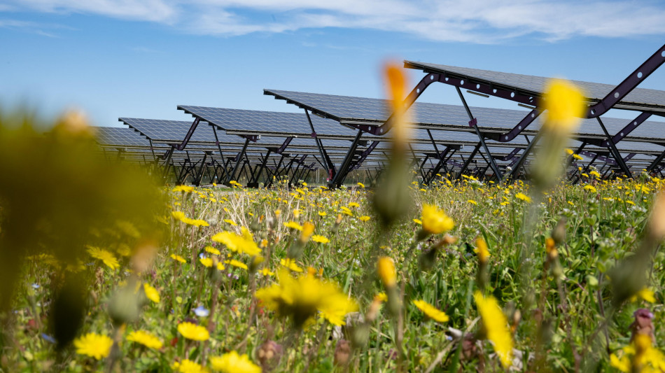 Terna, record rinnovabili, coprono 56% fabbisogno elettrico