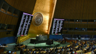 Majorit&eacute; &eacute;crasante &agrave; l'ONU pour un "cessez-le-feu humanitaire" &agrave; Gaza