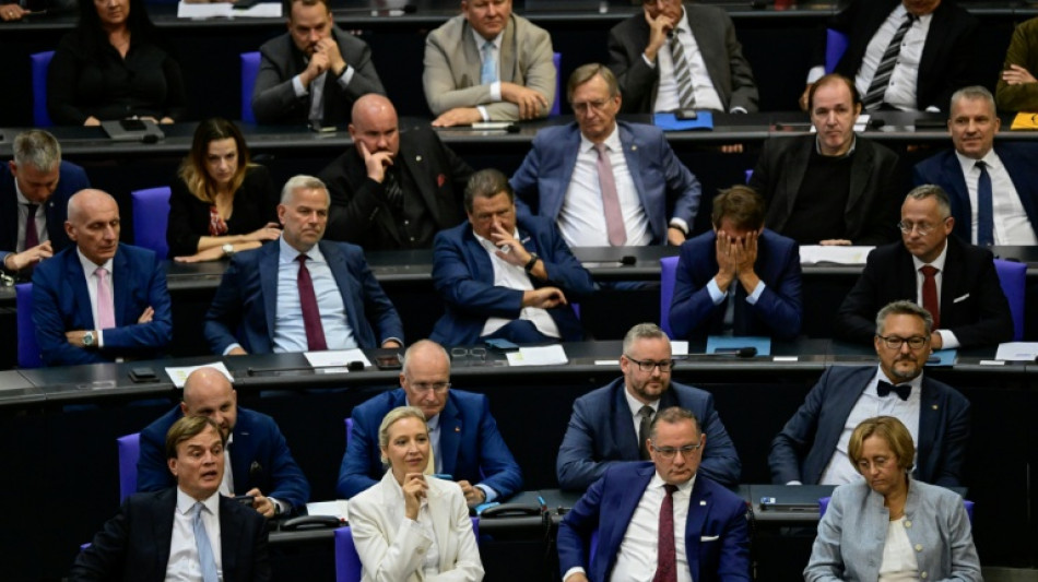 Widerstand aus Union gegen Forderung von Rhein nach Ausschussposten f&uuml;r AfD