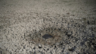 Casi la mitad del territorio de la UE est&aacute; "en riesgo" de sequ&iacute;a, dice la Comisi&oacute;n Europea