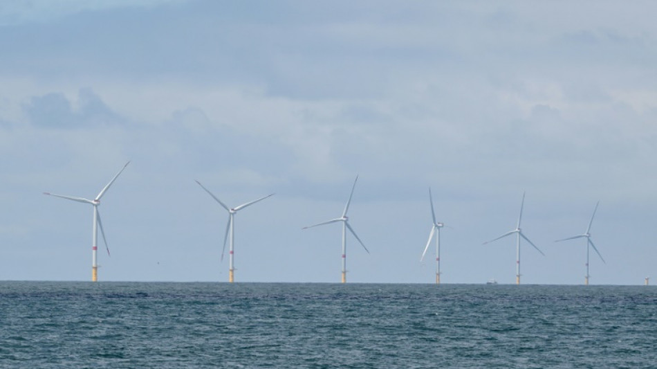 Eoliennes en mer: le parc de Yeu-Noirmoutier entre en service &agrave; 100%